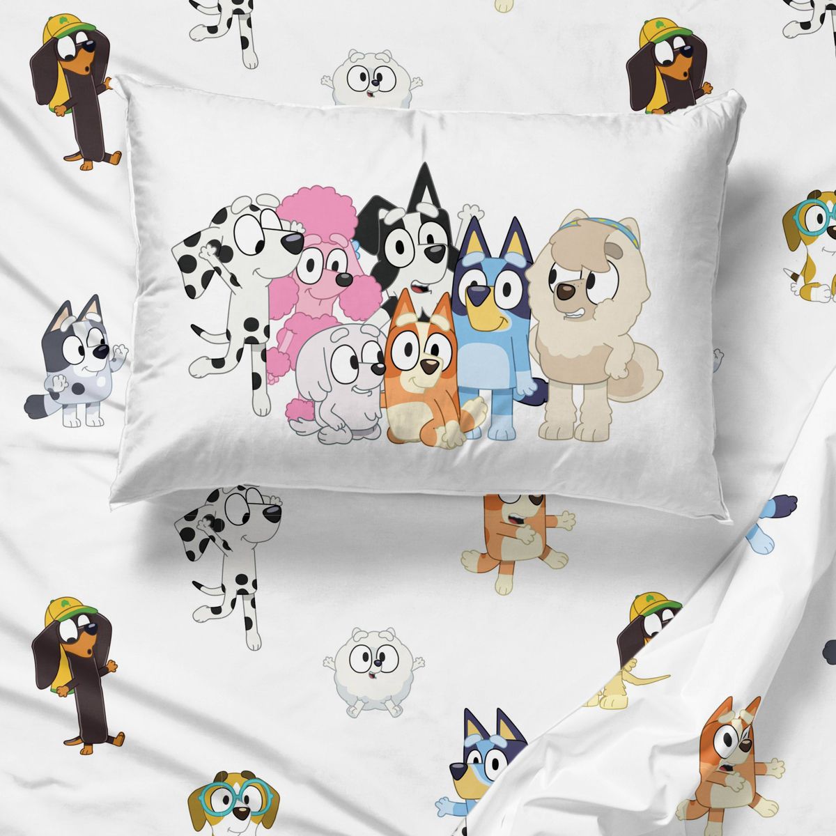 SET DE CAMERA DE BLUEY