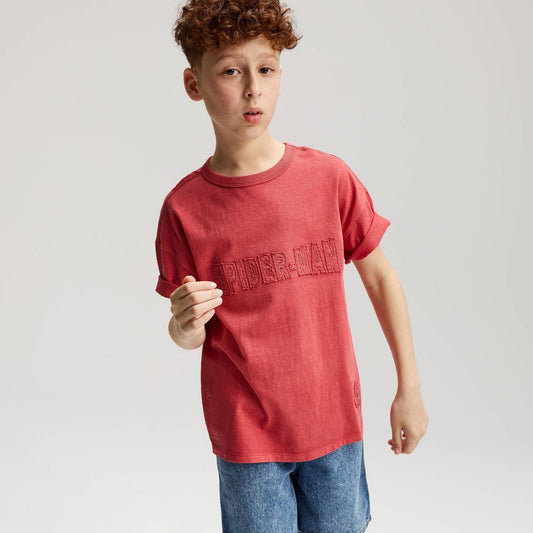 CAMISETA SPIDERMAN
